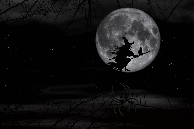 万圣节 巫婆 月亮 - 上的免费图片