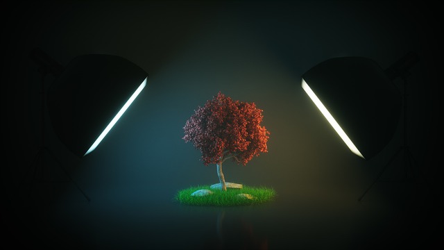 树 鲍姆 工作室 - 上的免费照片