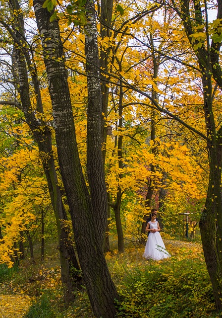 波兰 华沙 维拉诺夫 - 上的免费照片