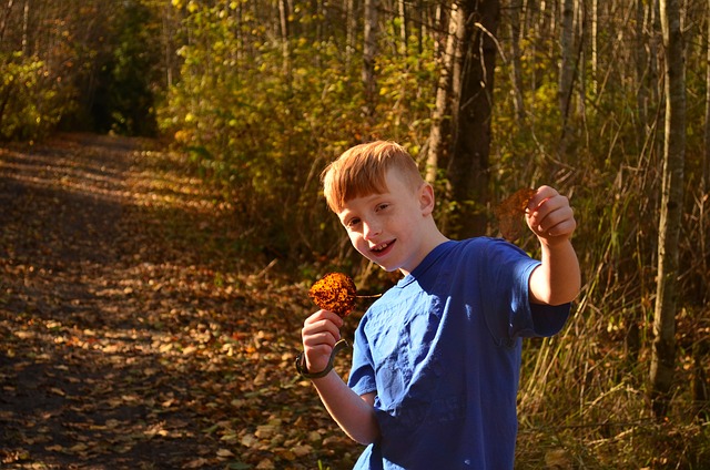 注册 Gfefds - 上的免费照片