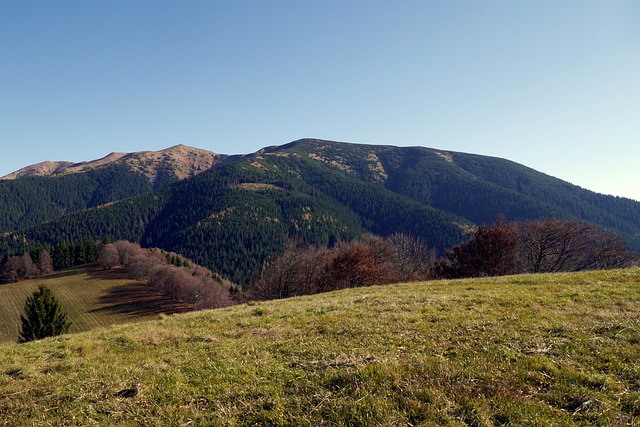 尘土飞扬 斯洛伐克 山 - 上的免费照片