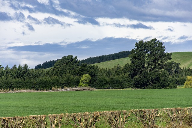 奥塔戈 新西兰 旅行 - 上的免费照片
