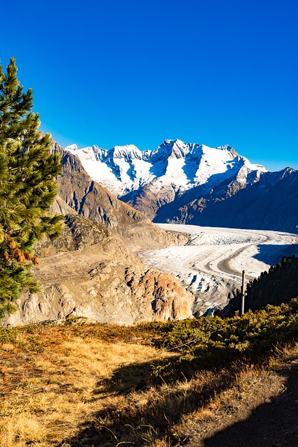 瑞士 瓦莱 贝特默阿尔普 - 上的免费照片
