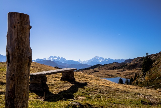 瑞士 瓦莱 贝特默阿尔普 - 上的免费照片