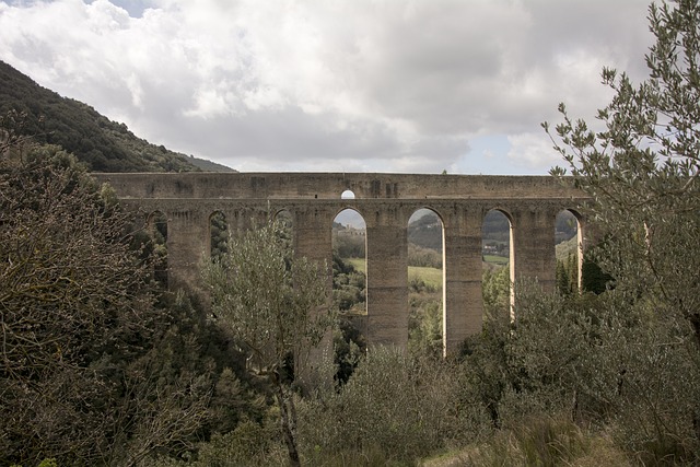 桥 输水管道 斯波莱托 - 上的免费照片