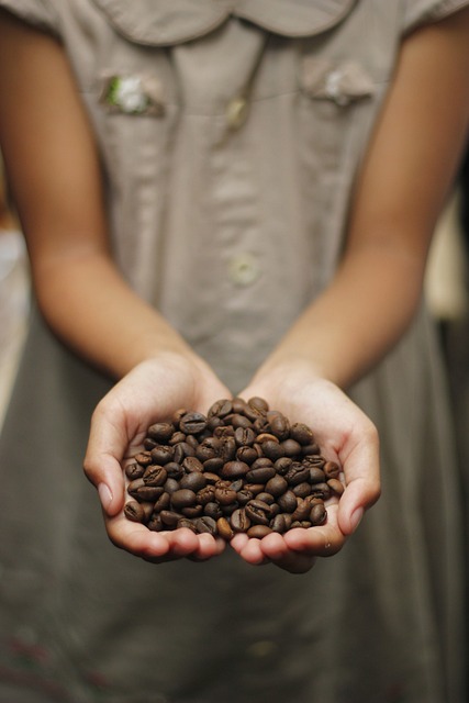 咖啡 咖啡豆 香气 - 上的免费照片