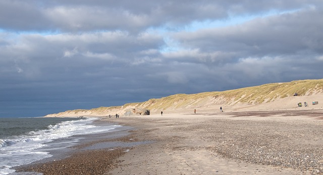 海滩 全景 海 - 上的免费照片