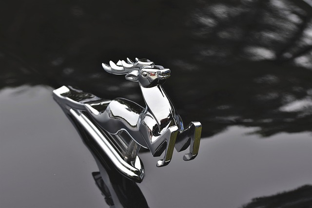 引擎盖装饰品 鹿 Gaz伏尔加河M-21 - 上的免费照片