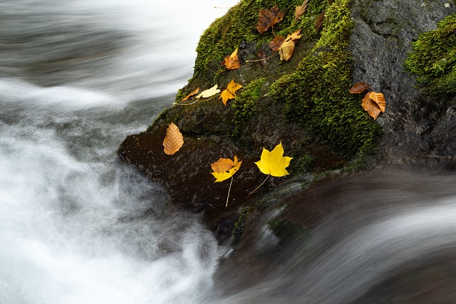 景观 秋季 山间溪流 - 上的免费照片