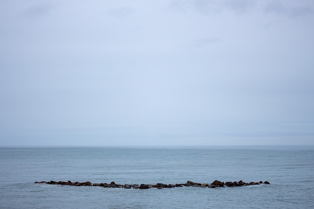 海Haar 沿海雾 多雾路段 - 上的免费照片