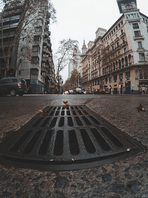 Buenosaires 阿根廷 建筑学 - 上的免费照片