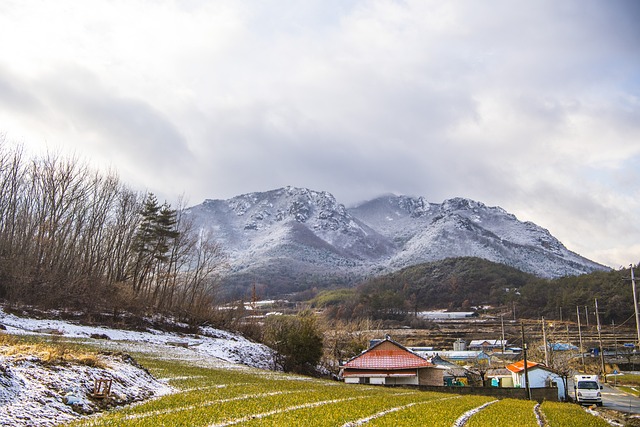 八个视频制作 雪景 高兴 - 上的免费照片