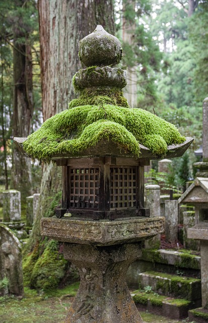 日本 高野山 佛教 - 上的免费照片