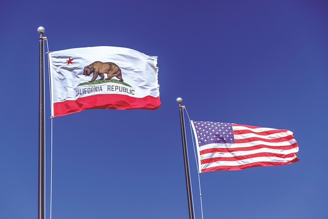 旗帜 加利福尼亚州 共和国的加利福尼亚州 - 上的免费照片