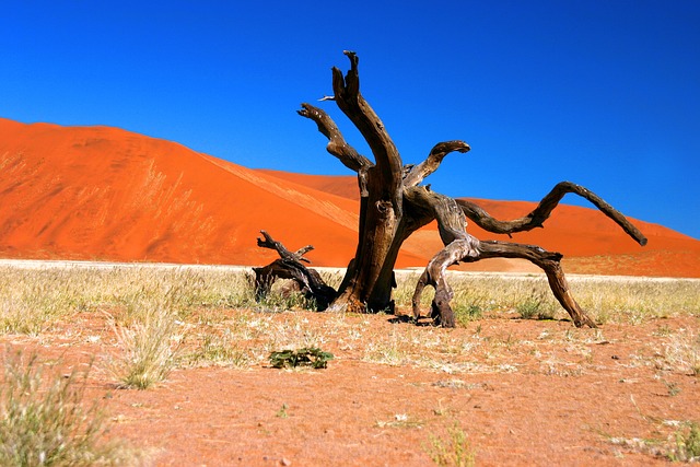 沙漠 纳米布 Sossusvlei - 上的免费照片