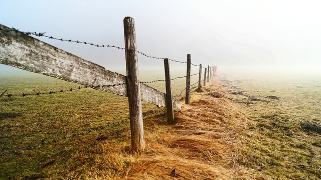 春天的开始 Hagertal 自然 - 上的免费照片