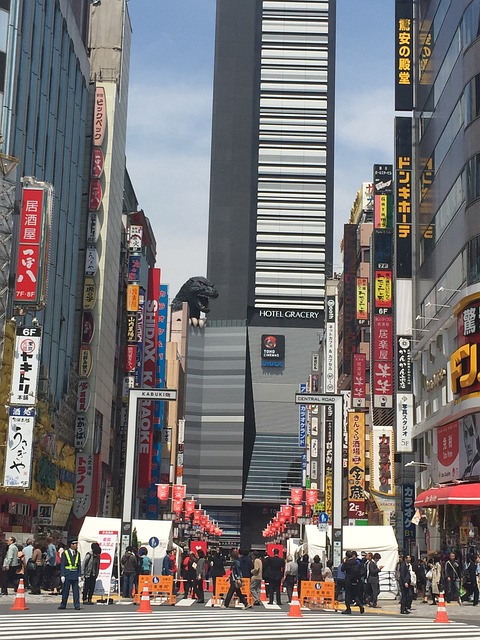 条例草案 城市 新宿 - 上的免费照片