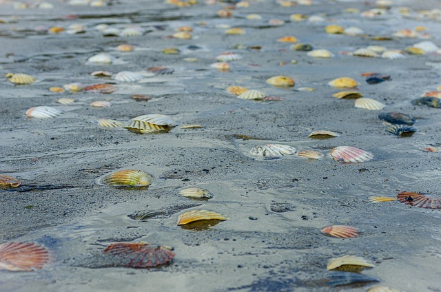 景观 海 海洋 - 上的免费照片