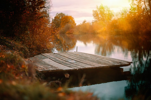 湖 木板路 自然 - 上的免费照片