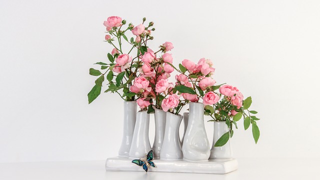 小粉红色的玫瑰 Moss玫瑰 罗莎千叶 - 上的免费照片