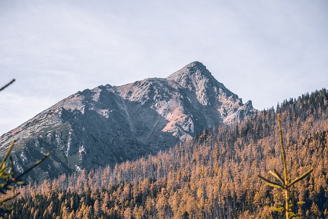山 秋天 景观 - 上的免费照片