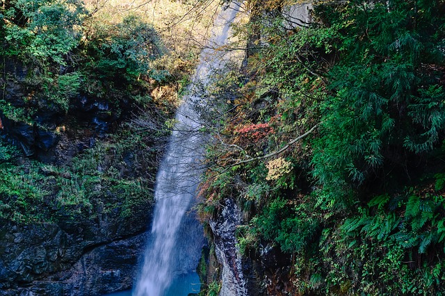 日本 景观 自然 - 上的免费照片