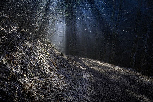 Metnaschlucht 黑森林 神秘 - 上的免费照片