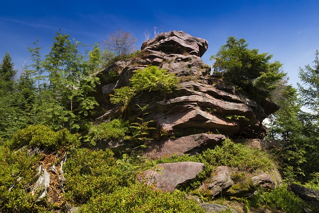 Klagstein Westweg 黑森林 - 上的免费照片