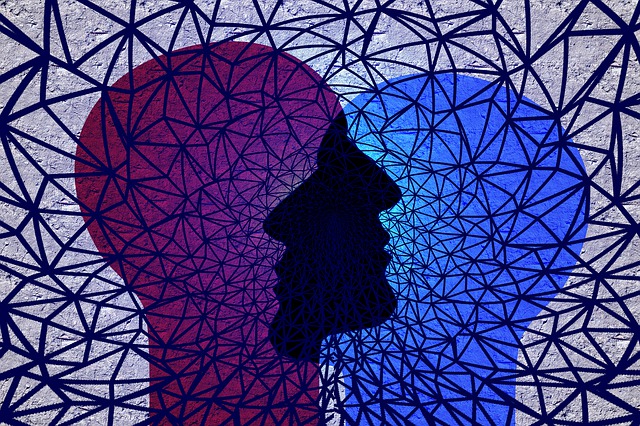 卷筒纸 网络 面孔 - 上的免费图片