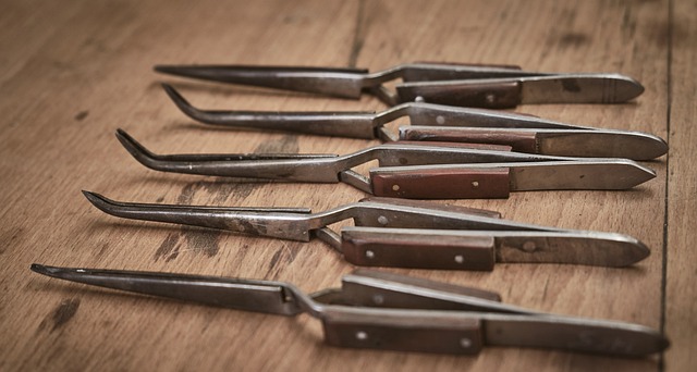 L?tzange 钳子 精度 - 上的免费照片