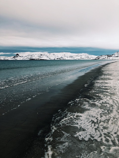 海洋 捷里别尔卡 自然 - 上的免费照片