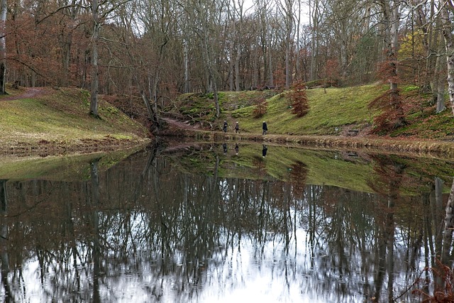 池塘 性质 树木 - 上的免费照片