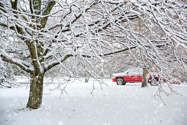 卡车 雪 冬天 - 上的免费照片