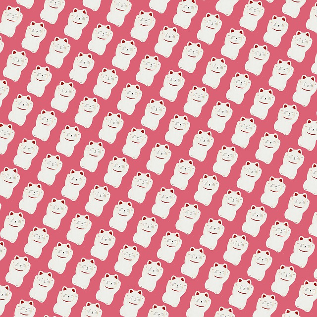 招 幸运猫 猫 - 上的免费图片