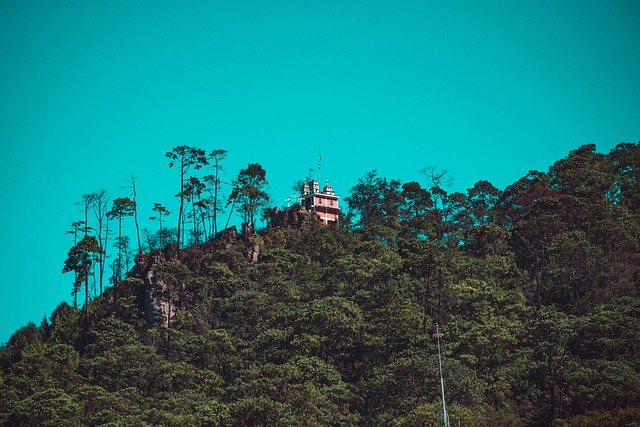 墨西哥 旅行 Hidalgo - 上的免费照片