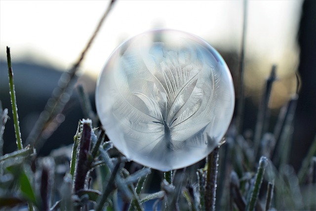 肥皂泡 冻结 冰晶 - 上的免费照片