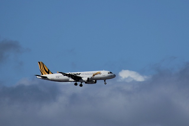 老虎 空气 降落 - 上的免费照片