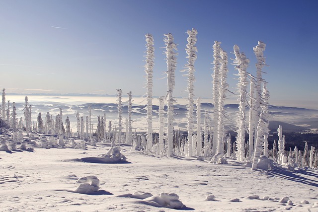 巴伐利亚森林 三把扶手椅 雪景 - 上的免费照片