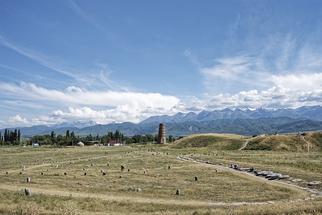 吉尔吉斯斯坦 墓地的Balbals 墓地 - 上的免费照片