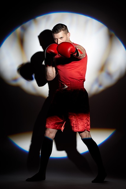 拳击 运动 体育 - 上的免费照片