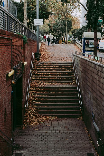 Nou巴里斯 巴塞罗那 秋天 - 上的免费照片
