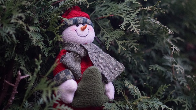 背景 十二月 数字 - 上的免费照片