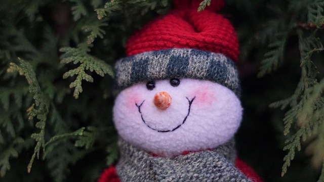 雪人 圣诞老人 圣诞节 - 上的免费照片