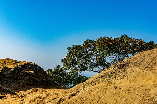 孟加拉国 自然 Sajek - 上的免费照片