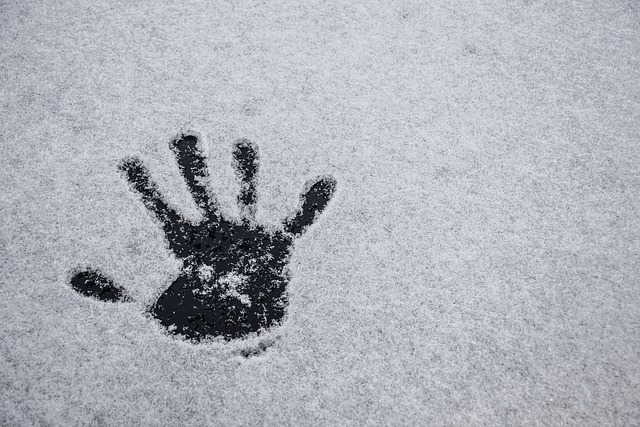 雪 冬天 寒冷的 - 上的免费照片