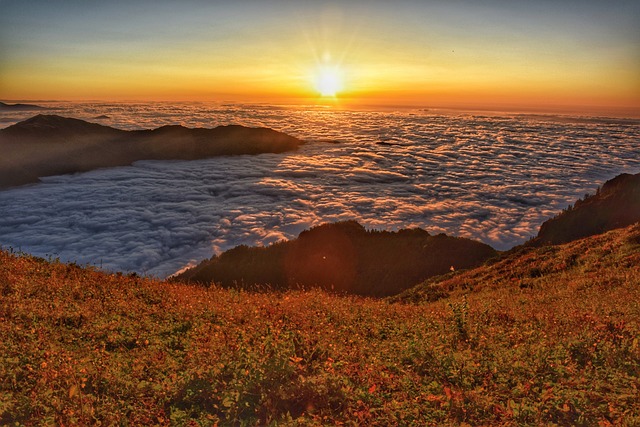 里泽 火鸡 Huser - 上的免费照片