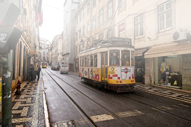 里斯本 葡萄牙 街头生活 - 上的免费照片