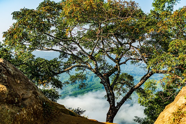 Sajek 孟加拉国 自然 - 上的免费照片