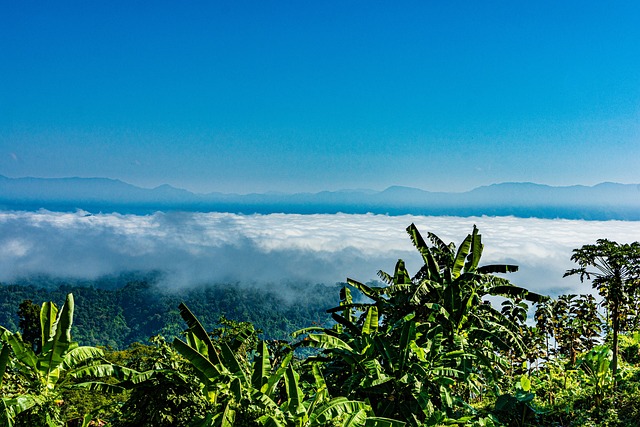 Sajek 孟加拉国 自然 - 上的免费照片