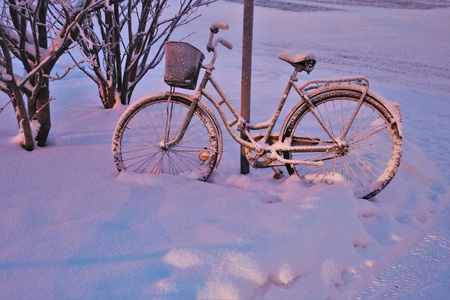 雪 黎明 自行车 - 上的免费照片
